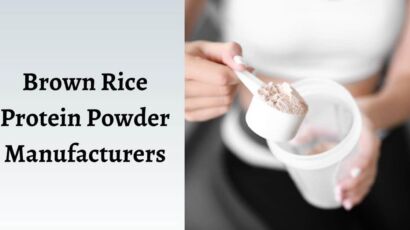 Third Party Brown Rice Protein Powder Manufacturers